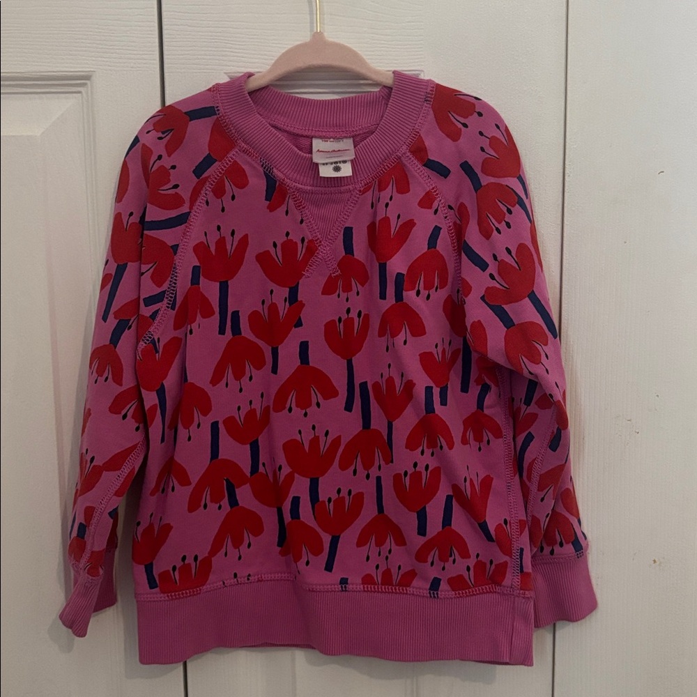 Hanna Andersson Pink and Red Sweater